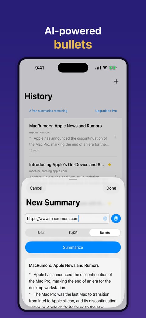 Peek iPhone screen generating a bullet summary from a web link pasted into the New Summary sheet